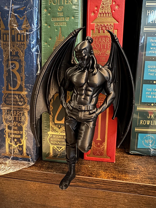 ACOTAR Cassian bookshelf leaner decor